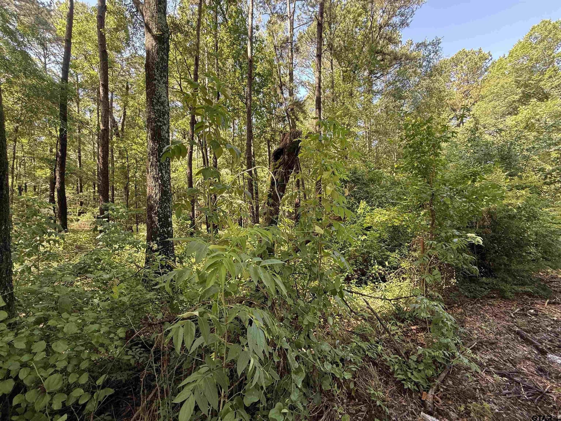 10 acres in Rusk County - photo 2