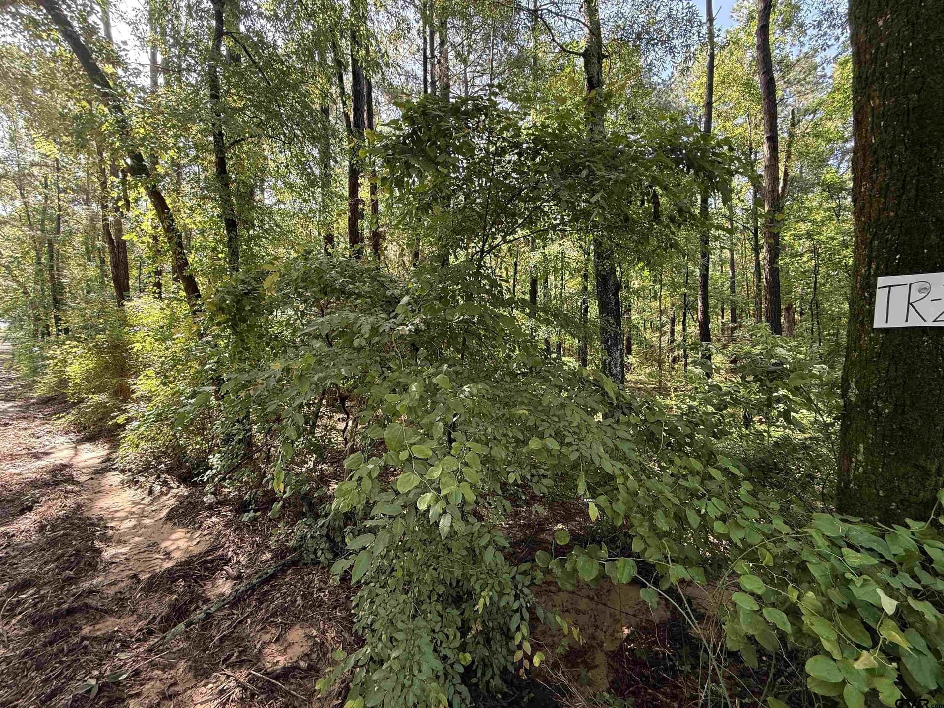 10 acres in Rusk County - photo 3