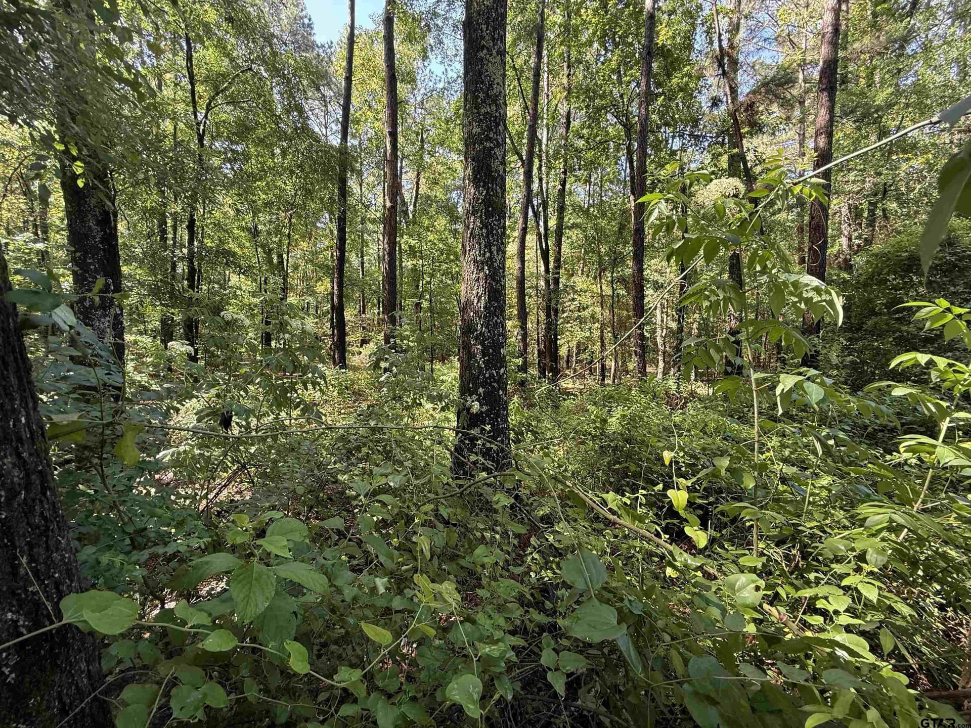 10 acres in Rusk County - photo 4