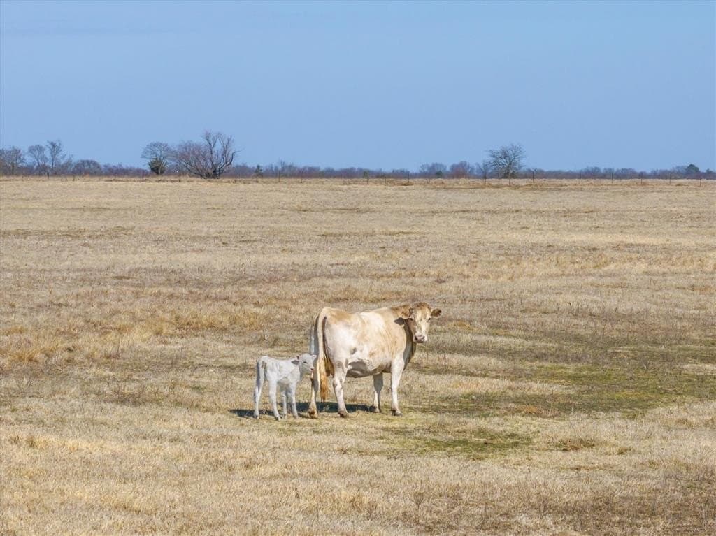 12 acres in Van Zandt County - photo 8