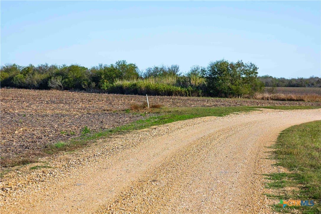 50.52 acres in Williamson County - photo 5
