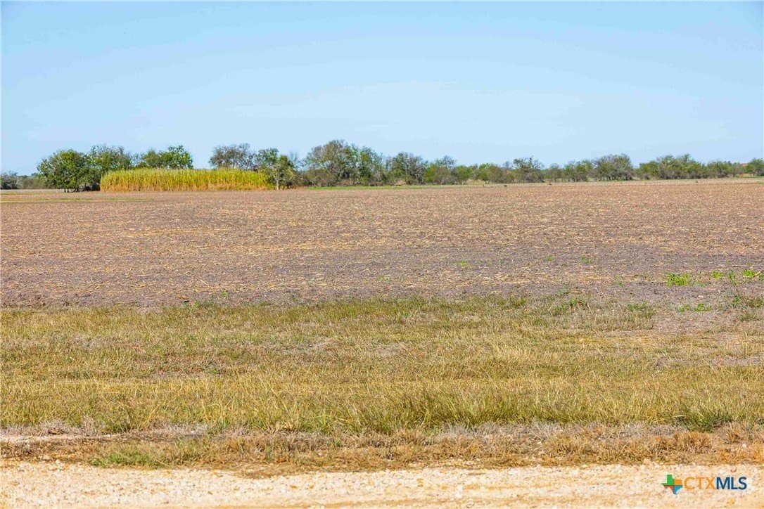 50.52 acres in Williamson County - photo 9