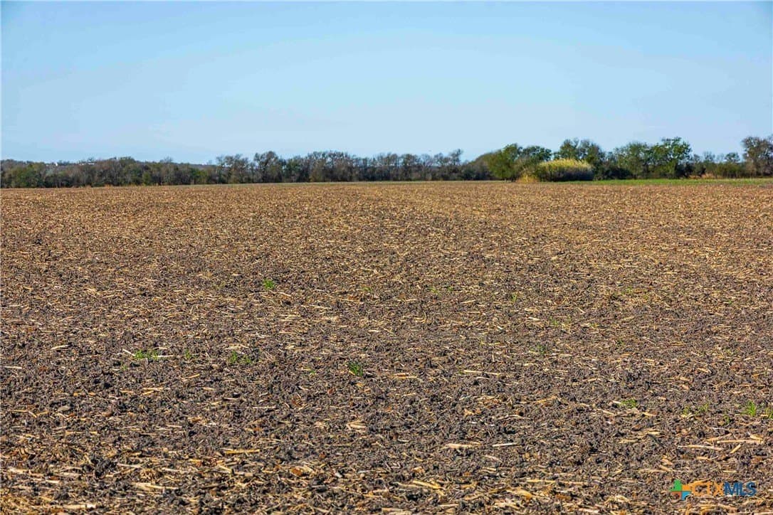 50.52 acres in Williamson County - photo 6