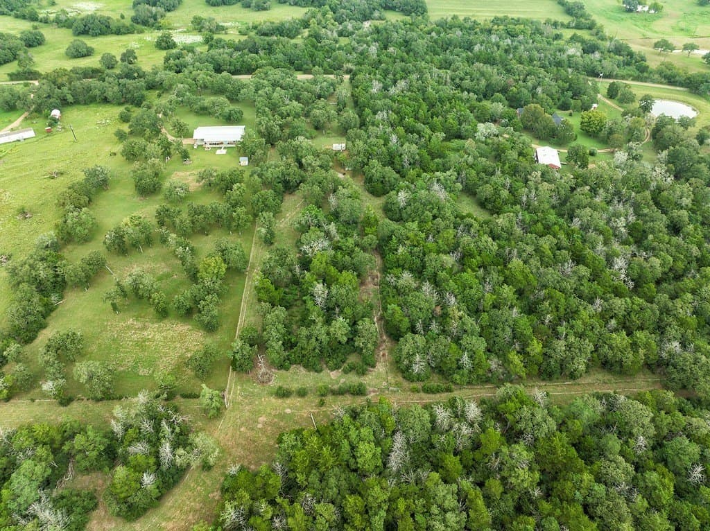 14.77 acres in Fayette County - photo 13