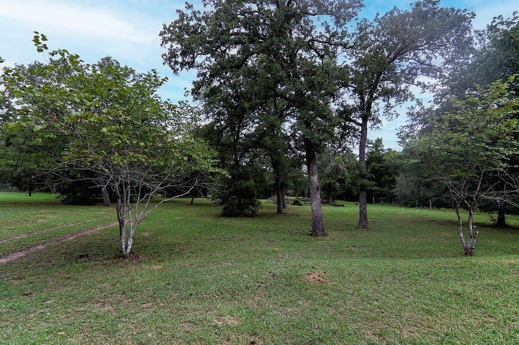 14.77 acres in Fayette County - photo 4