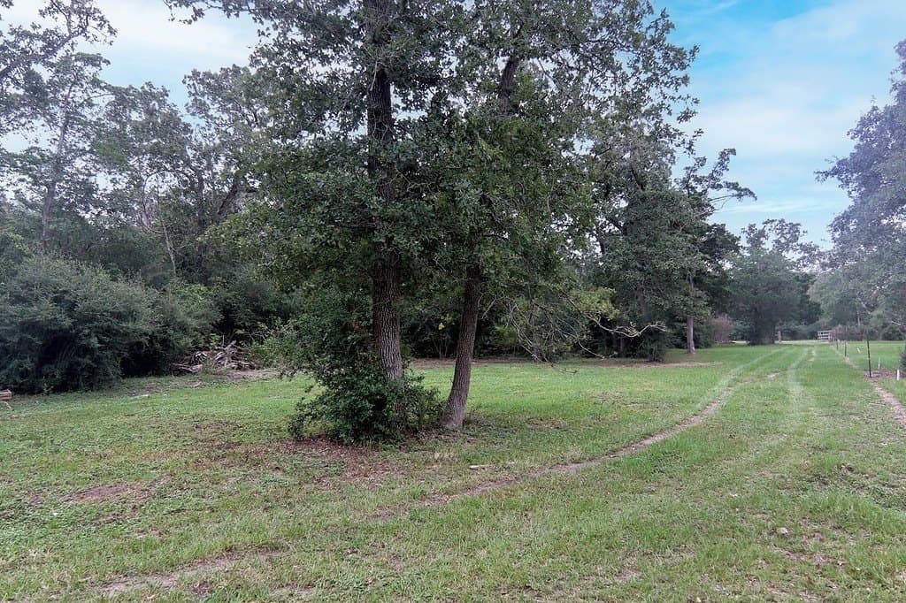14.77 acres in Fayette County - photo 3