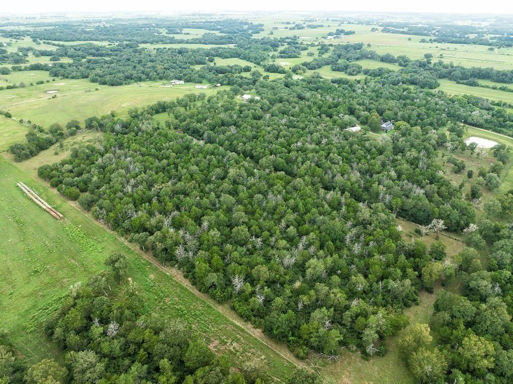 14.77 acres in Fayette County - photo 10
