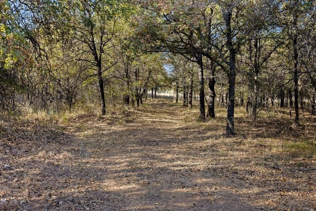 12.5 acres in Jack County - photo 4