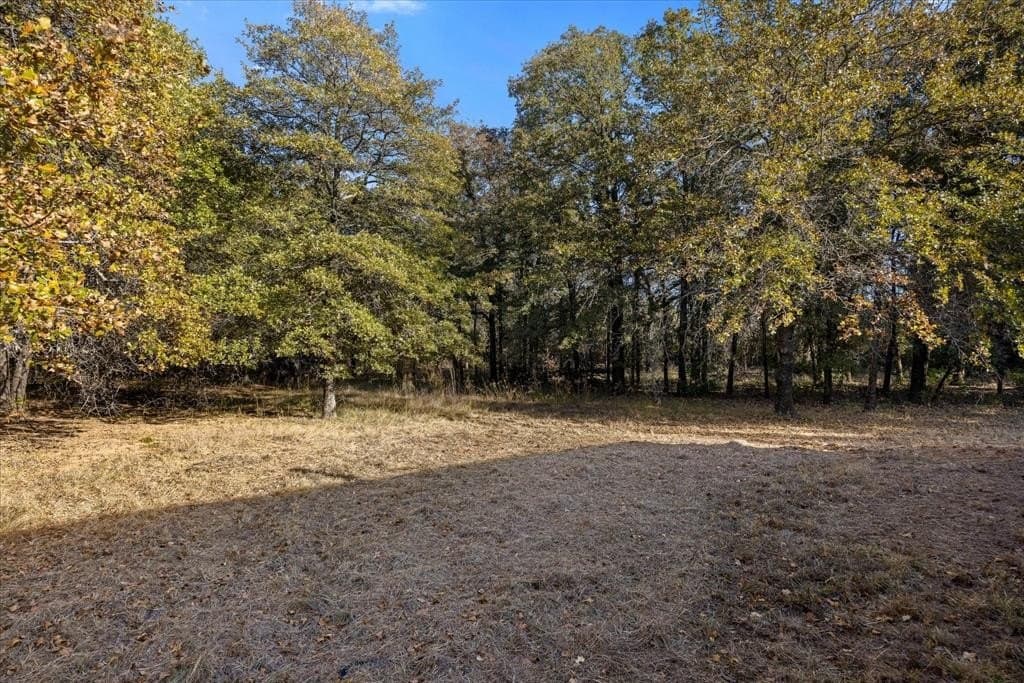 12.5 acres in Jack County - photo 20