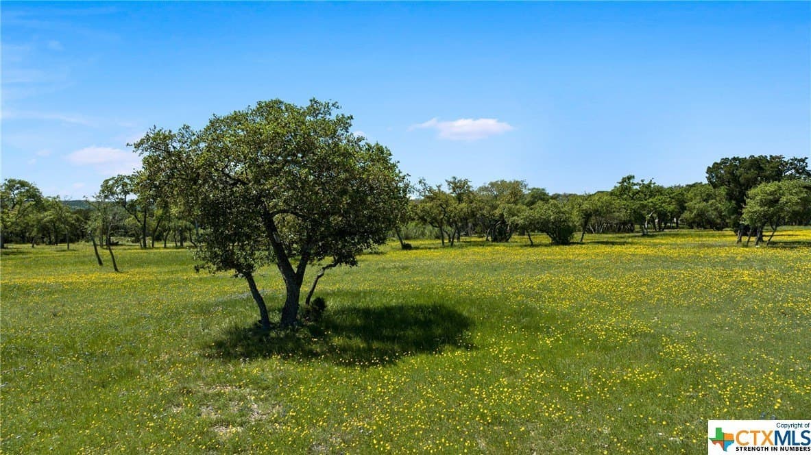 0.64 acres in Bell County - photo 19