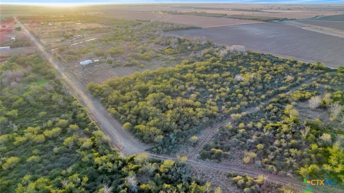 6.6 acres in Victoria County - photo 4