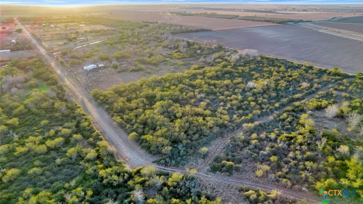 6.6 acres in Victoria County - photo 5