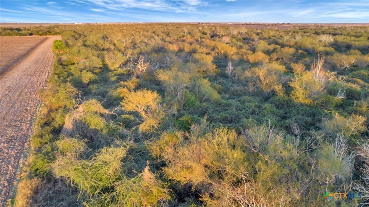 6.6 acres in Victoria County - photo 13