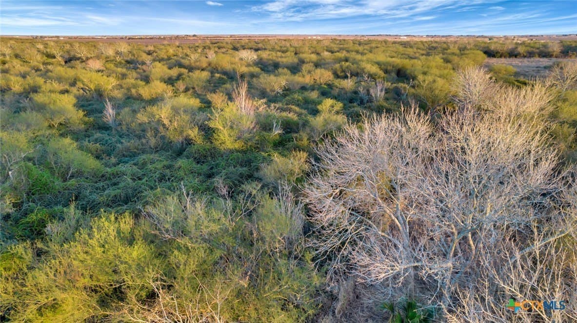 6.6 acres in Victoria County - photo 14
