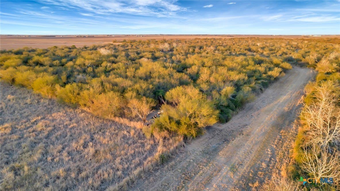 6.6 acres in Victoria County - photo 19