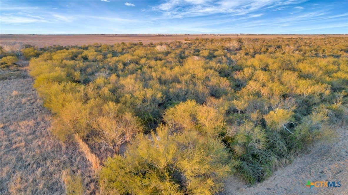 6.6 acres in Victoria County - photo 18