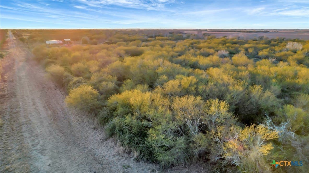 6.6 acres in Victoria County - photo 17