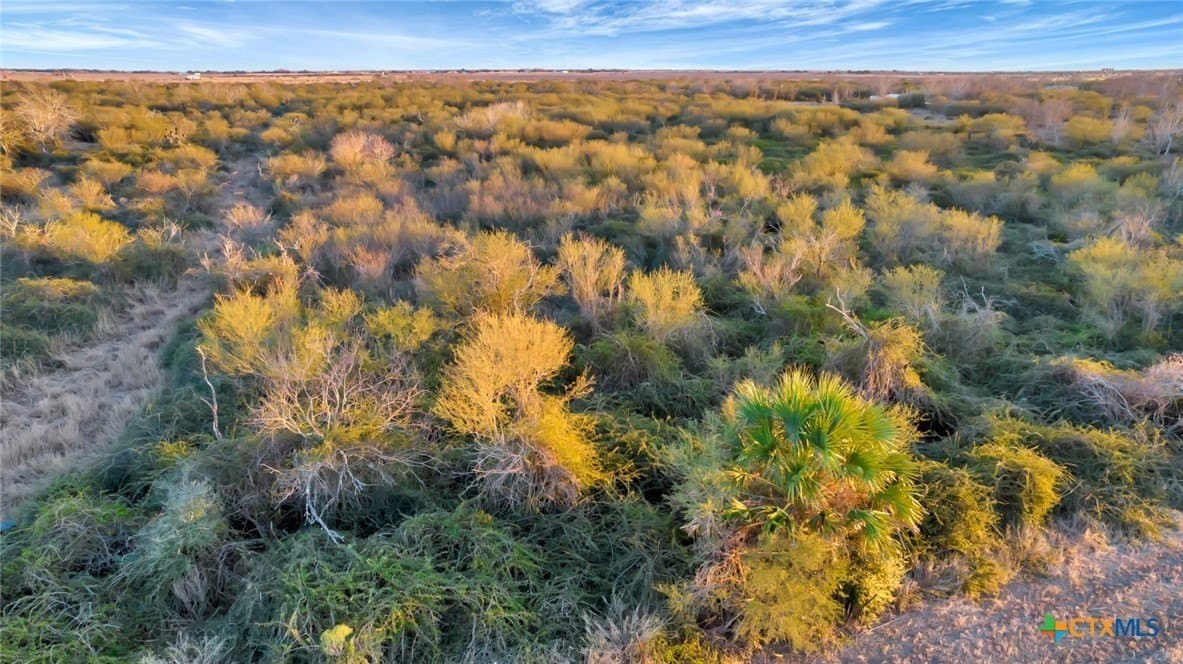 6.6 acres in Victoria County - photo 12