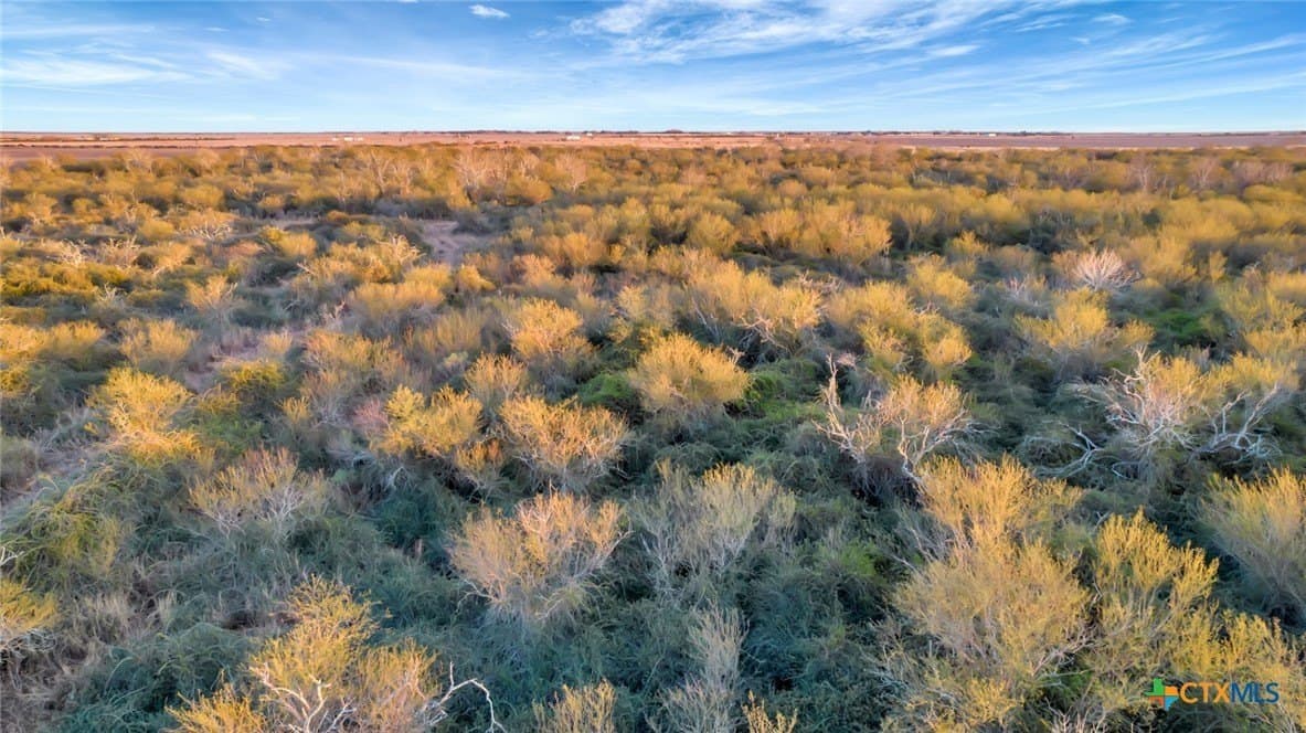 6.6 acres in Victoria County - photo 16
