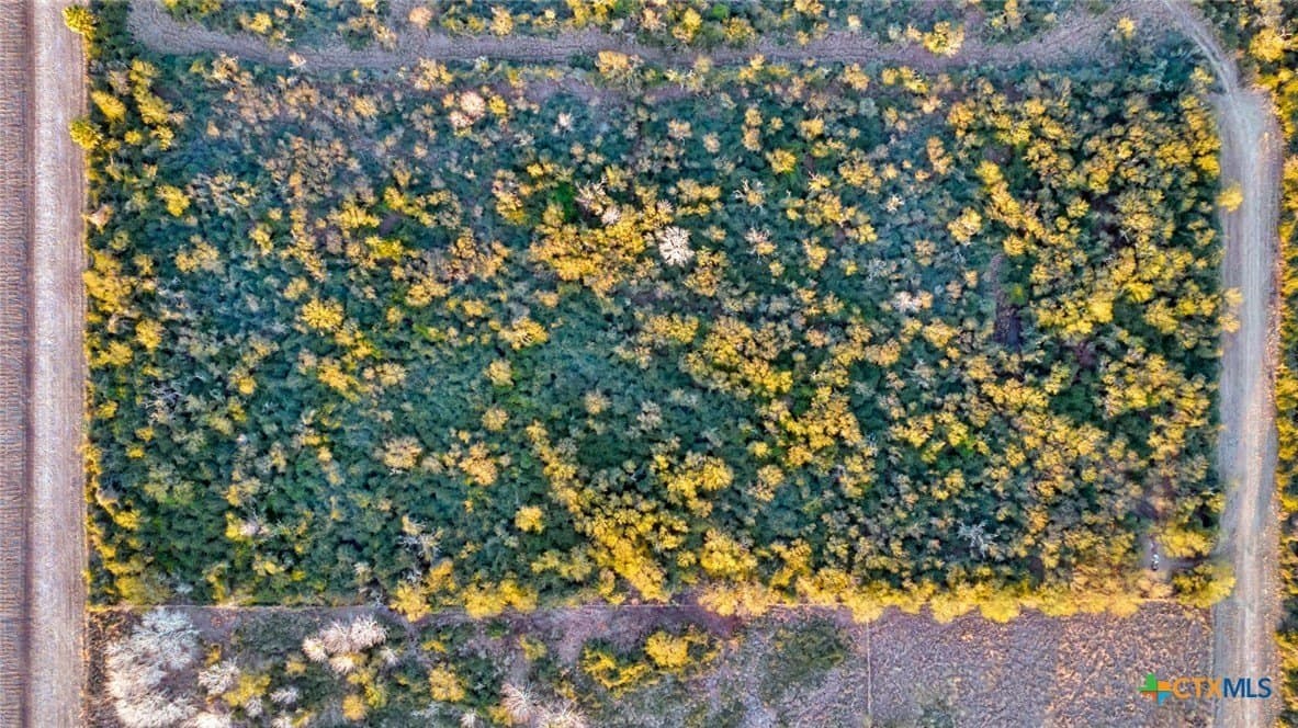 6.6 acres in Victoria County - photo 11