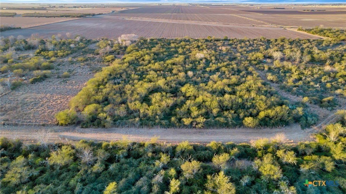 6.6 acres in Victoria County - photo 3