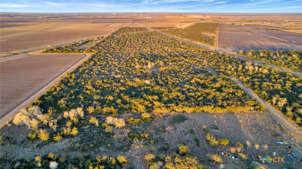6.6 acres in Victoria County - photo 10