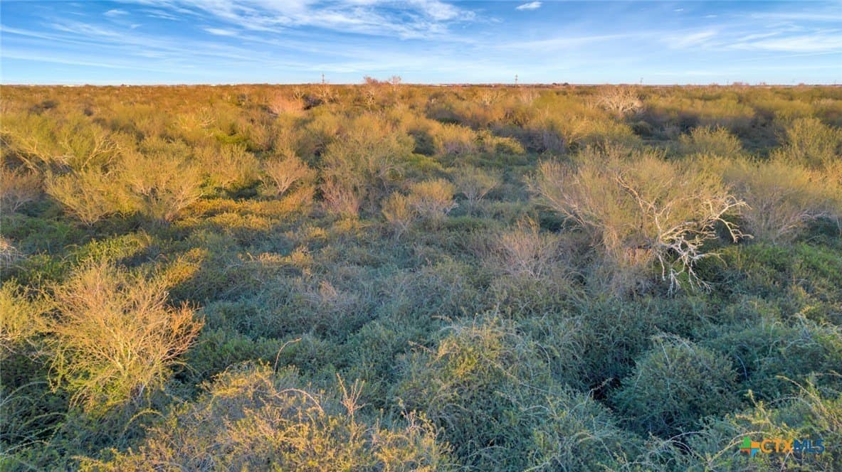 6.6 acres in Victoria County - photo 15