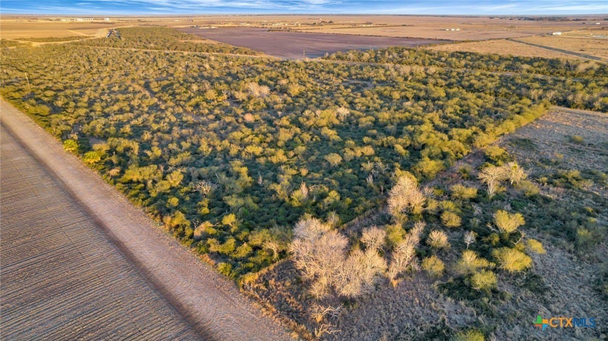 6.6 acres in Victoria County - photo 9