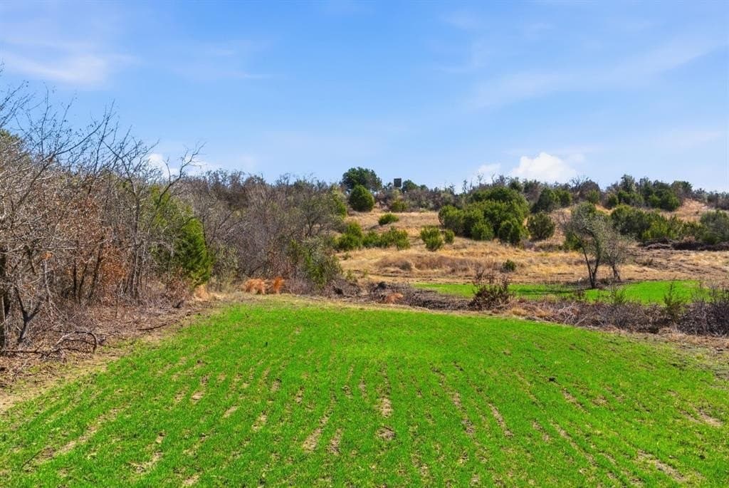 111.01 acres in Erath County - photo 39
