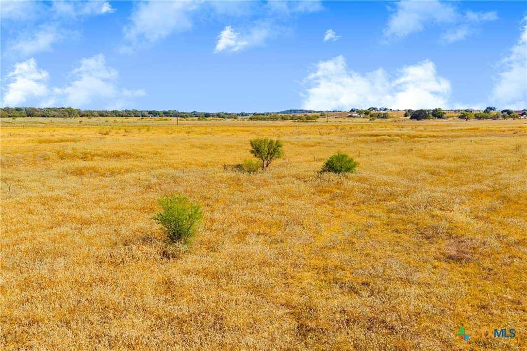 50 acres in Guadalupe County - photo 14