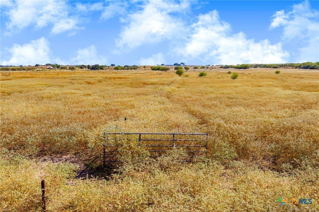 50 acres in Guadalupe County - photo 13