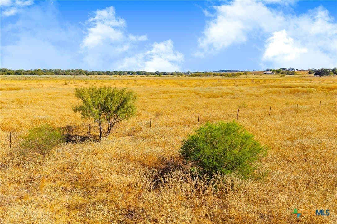 50 acres in Guadalupe County - photo 15