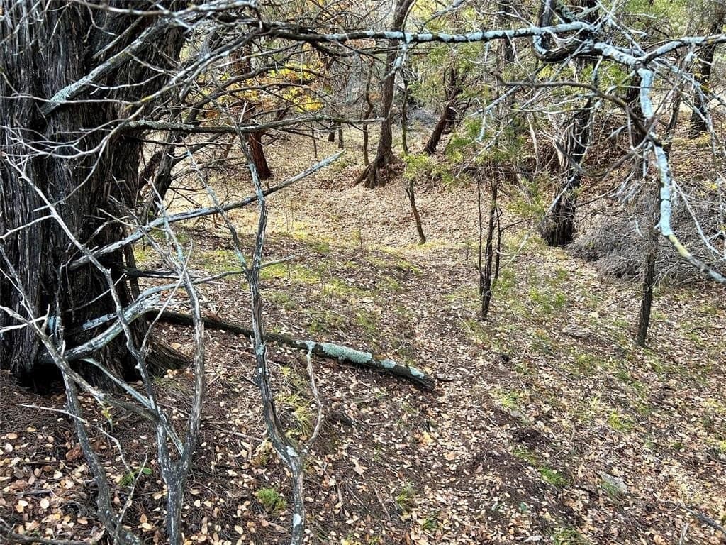 46 acres in Eastland County - photo 10