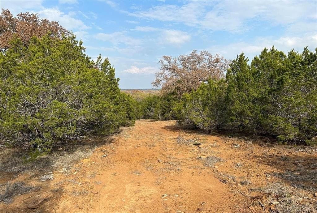 46 acres in Eastland County - photo 7