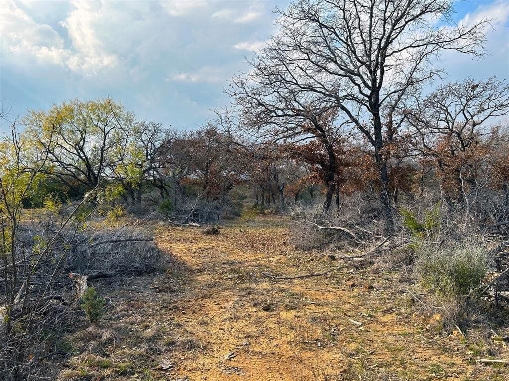 46 acres in Eastland County - photo 11