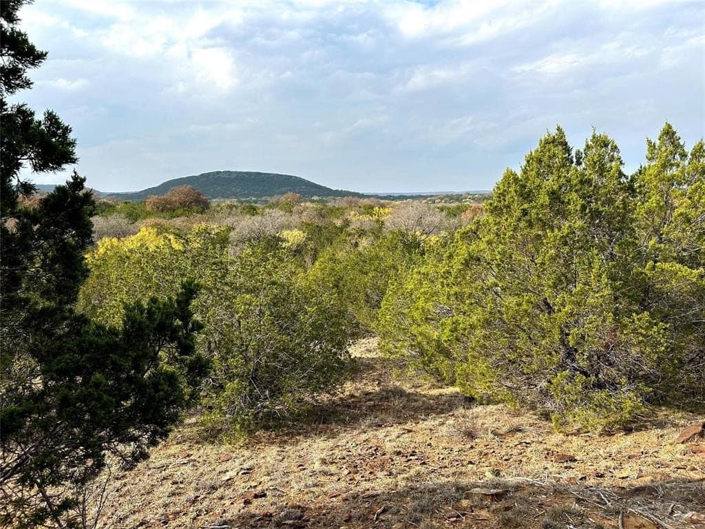 46 acres in Eastland County - photo 2