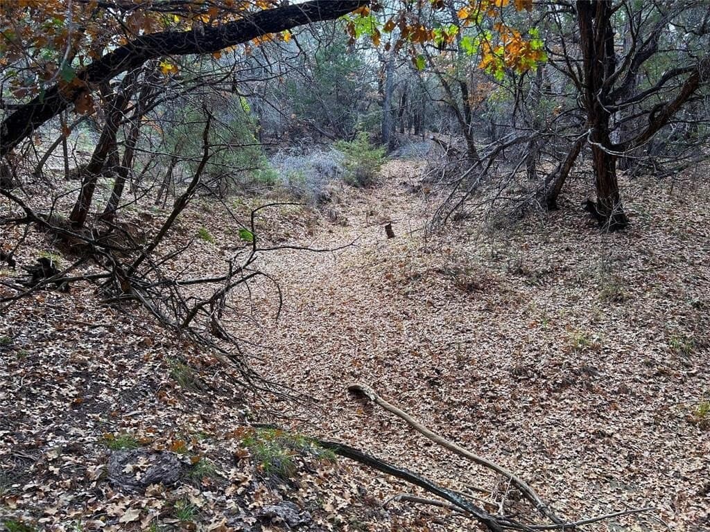 46 acres in Eastland County - photo 9