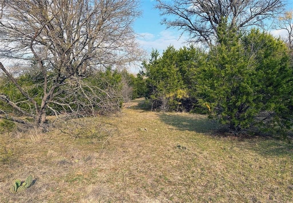 46 acres in Eastland County - photo 5