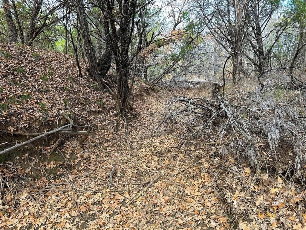 46 acres in Eastland County - photo 23