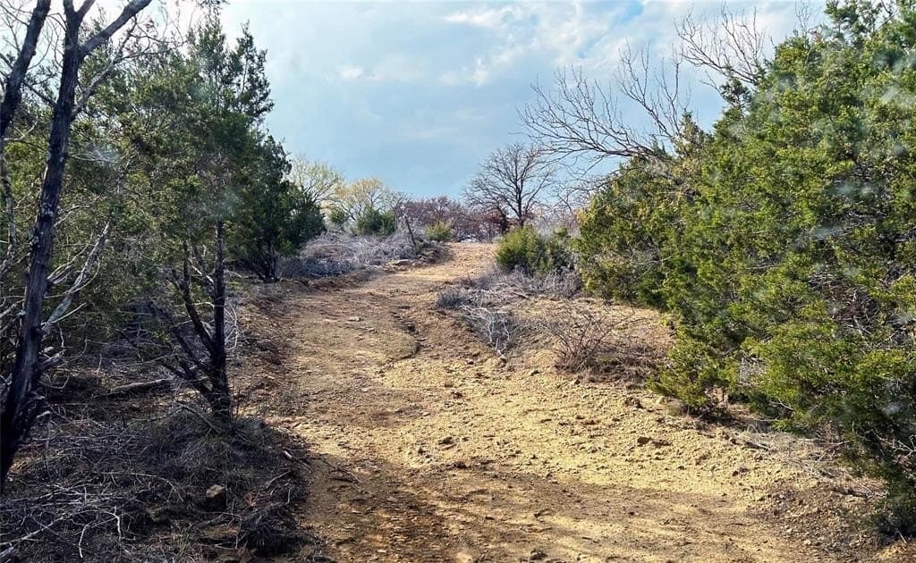 46 acres in Eastland County - photo 14