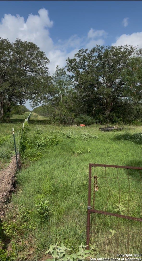 10 acres in Guadalupe County - photo 2