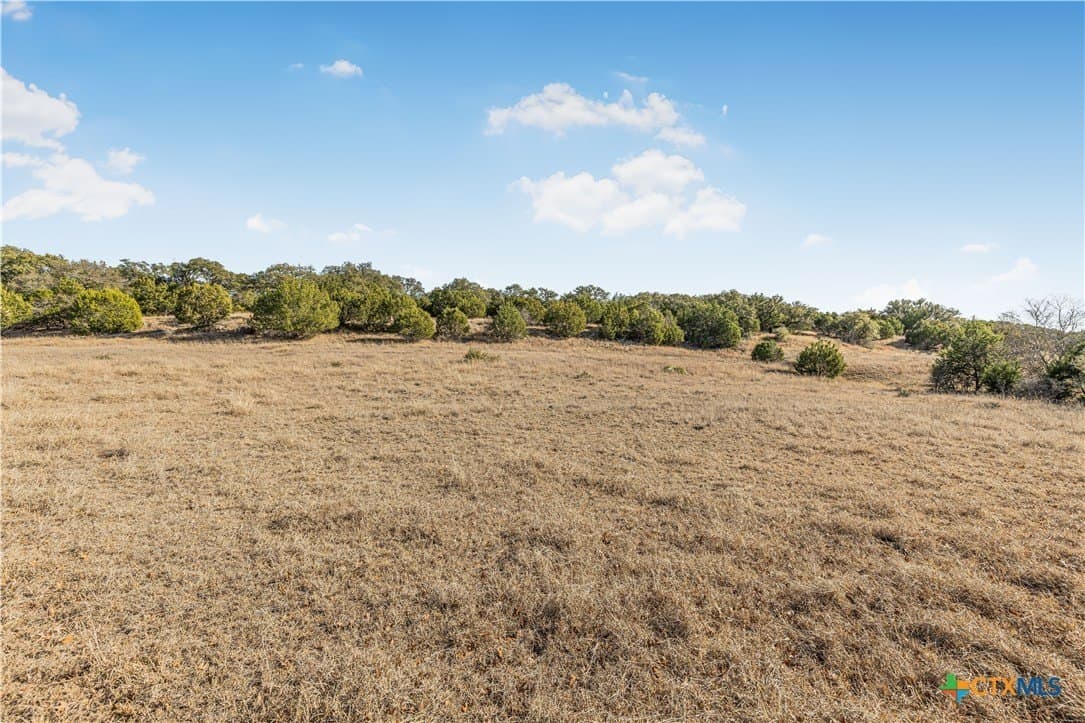 64.04 acres in Bell County - photo 6