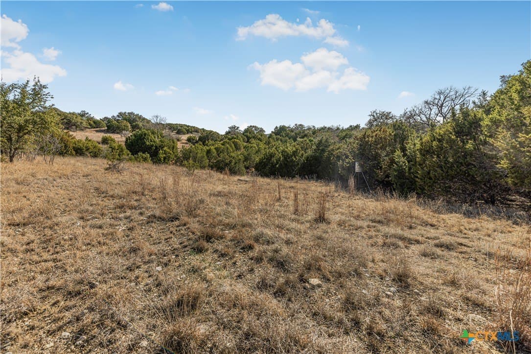 64.04 acres in Bell County - photo 4