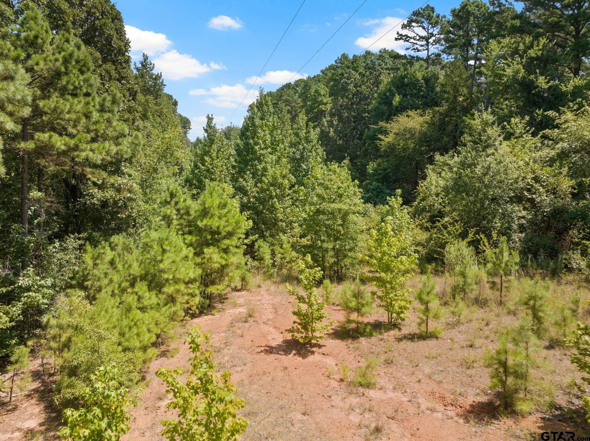 12.94 acres in Franklin County - photo 20
