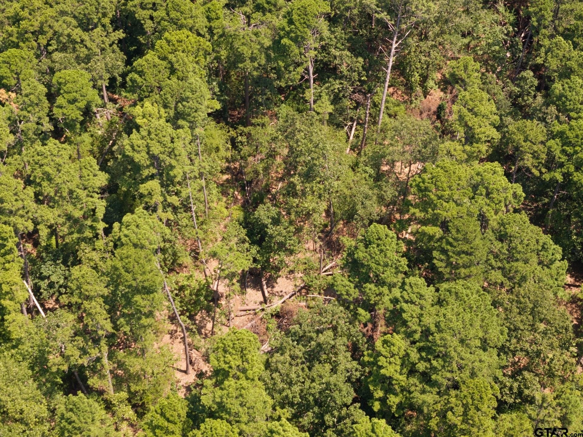 12.94 acres in Franklin County - photo 28