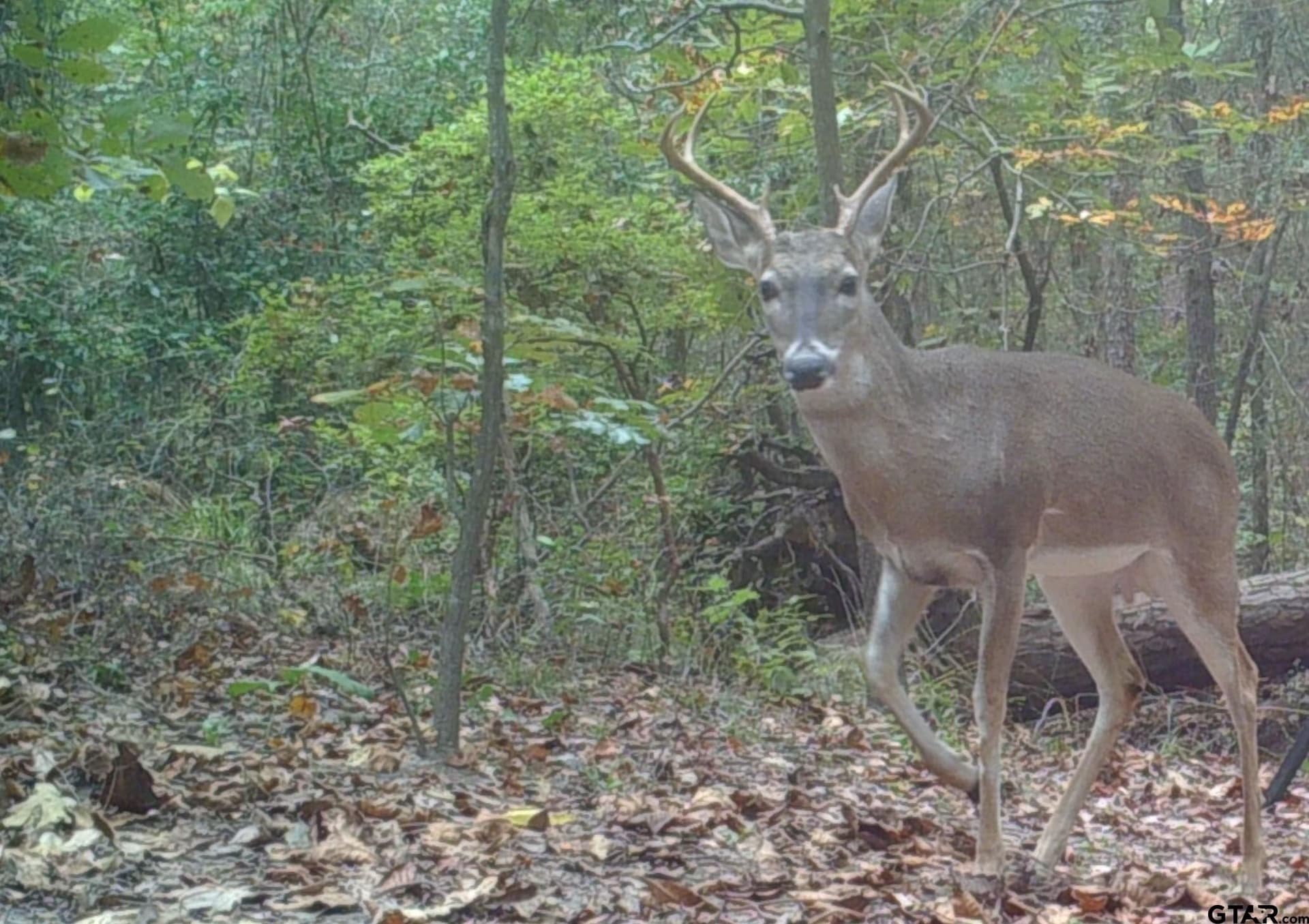 12.94 acres in Franklin County - photo 35