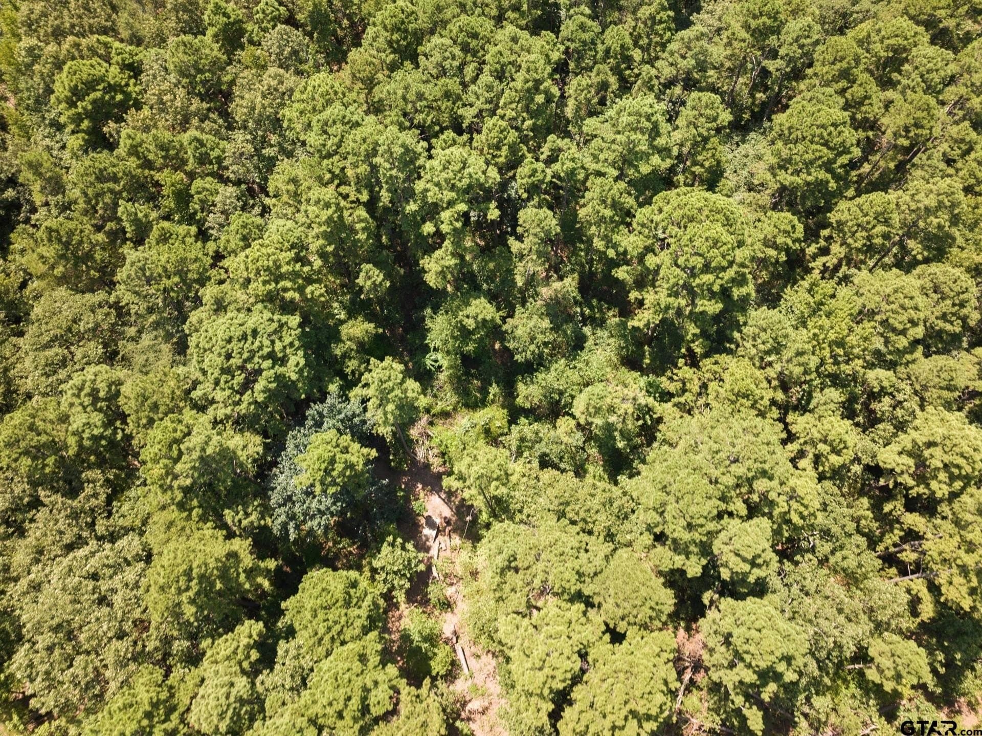 12.94 acres in Franklin County - photo 30