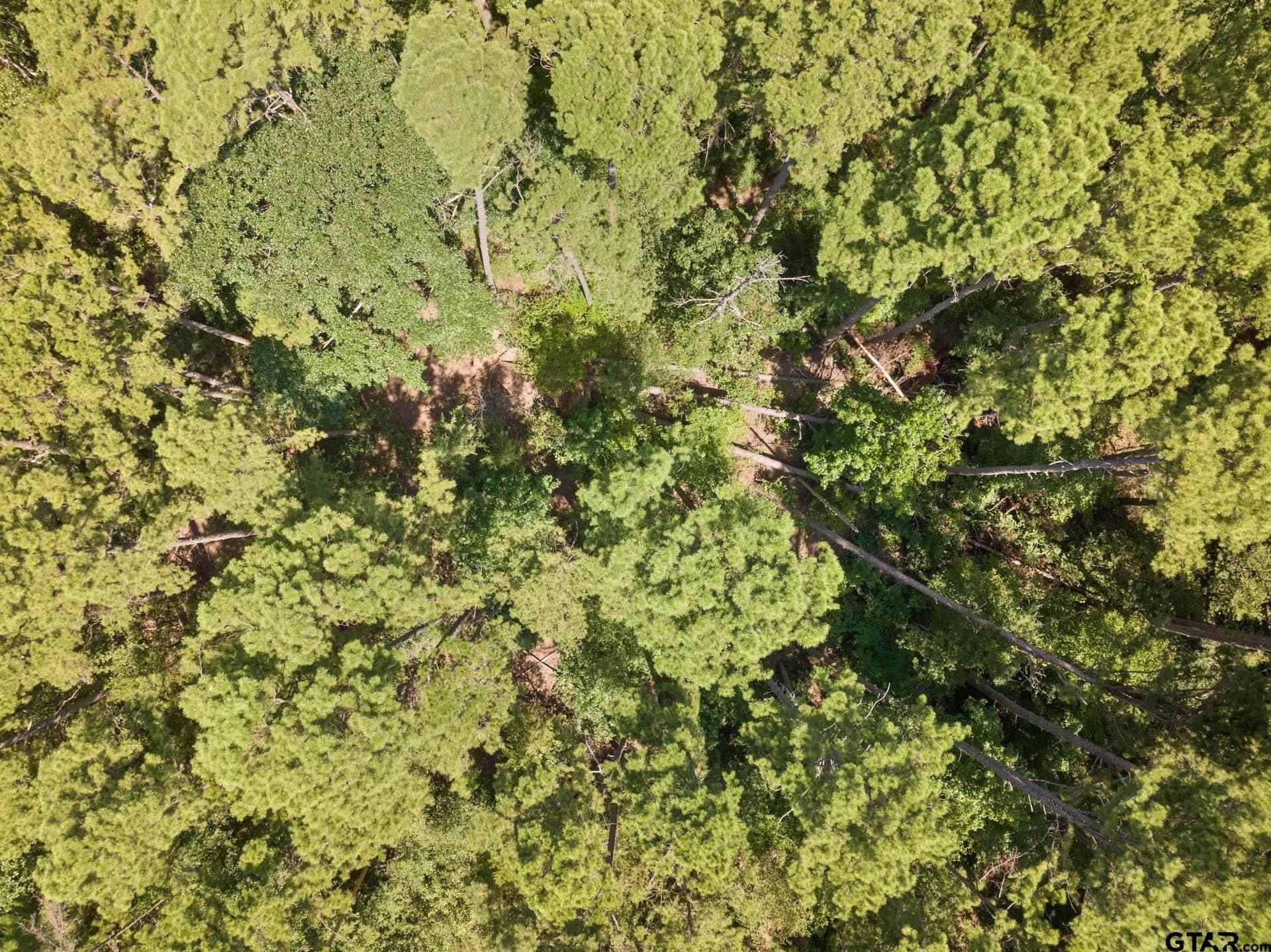 12.94 acres in Franklin County - photo 26