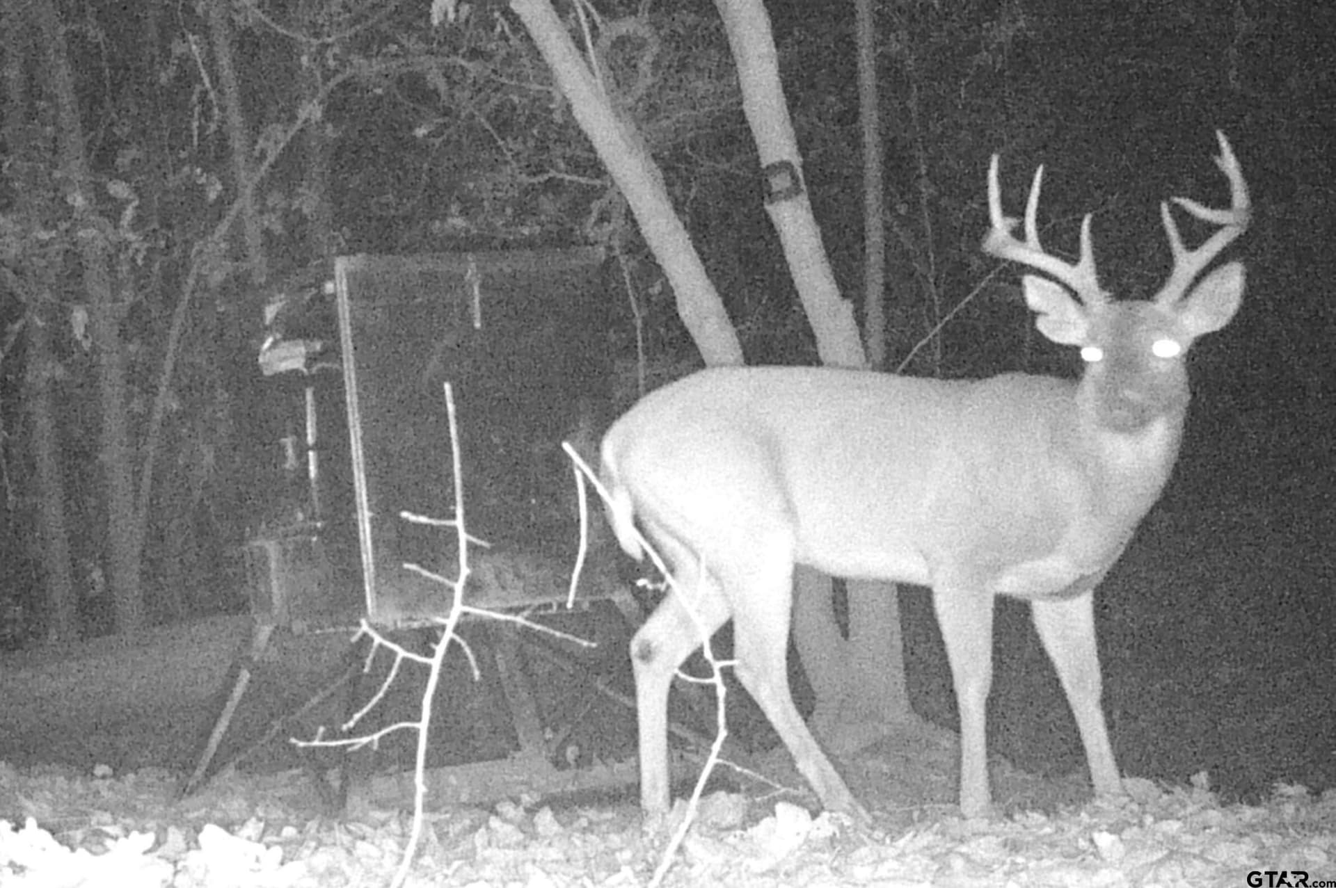 12.94 acres in Franklin County - photo 36