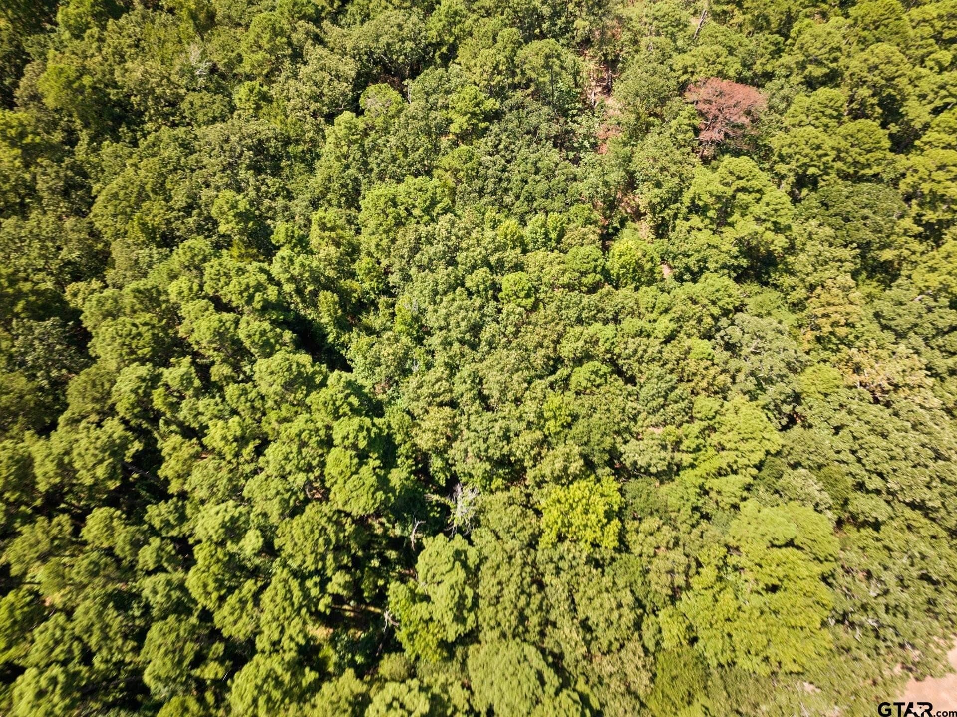 12.94 acres in Franklin County - photo 29